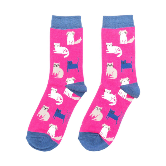 Miss Sparrow Cute Kittens HOT PINK Quality Bamboo Socks sks380