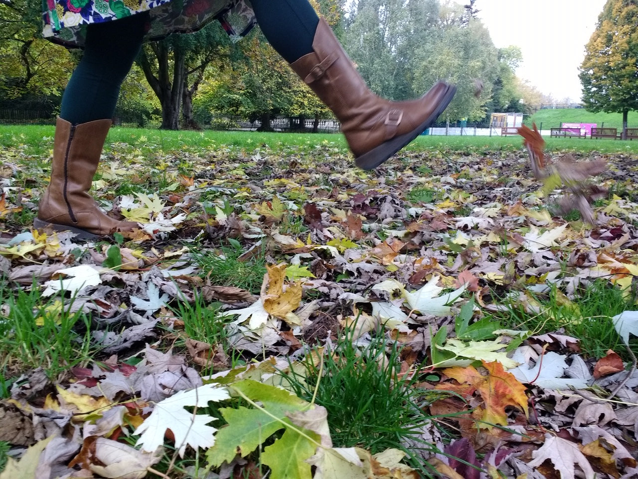 Long and Riding Boots