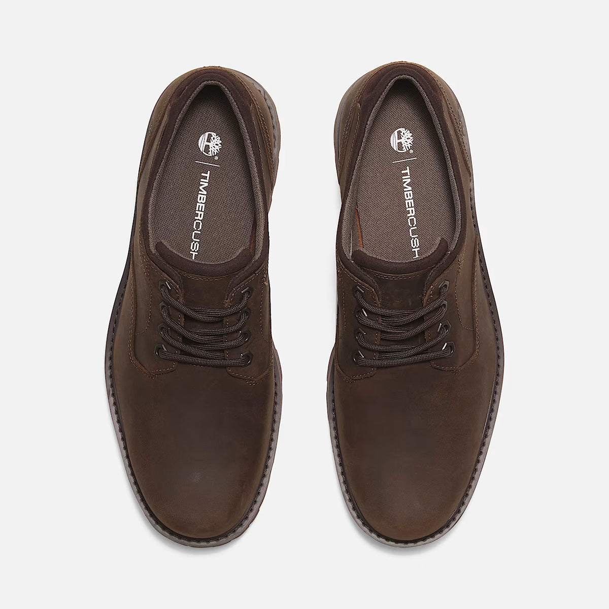 Timberland Britton Road DARK BROWN Waterproof Shoe TB0A69T9W011M