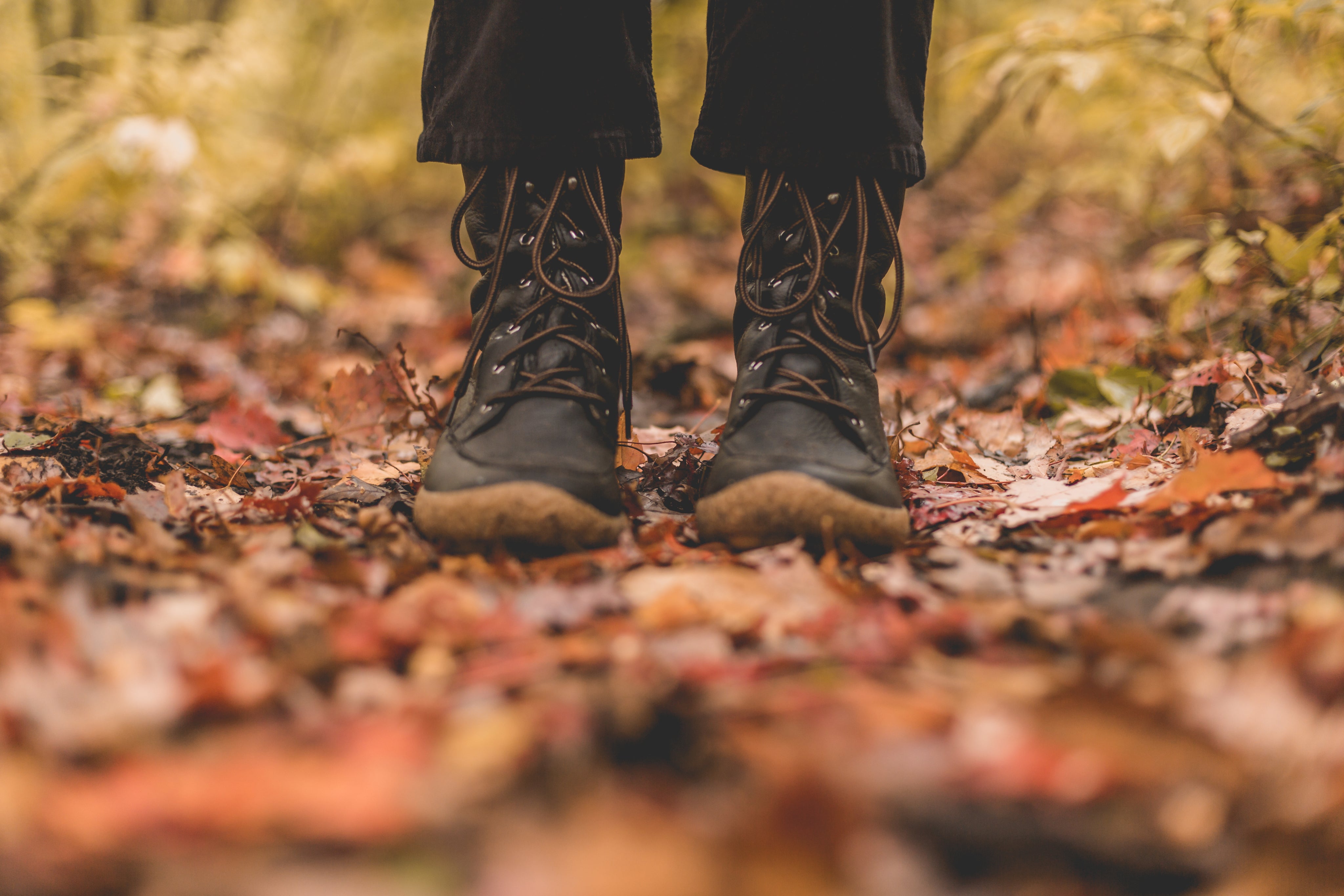 Autumn- New Arrivals
