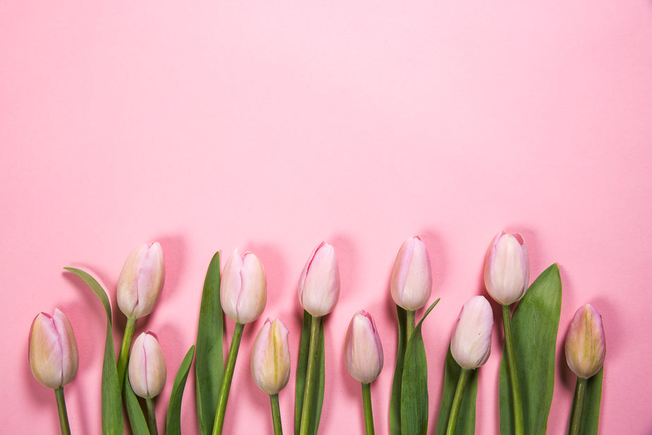 New for Spring